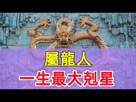 屬龍 名人|屬龍的名人